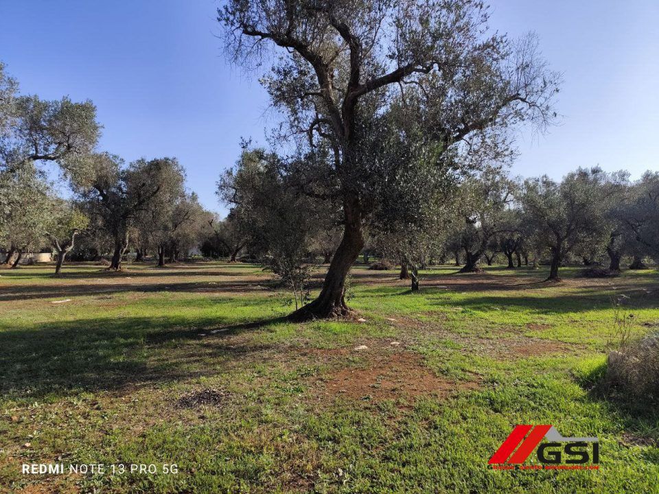 Landejendom i Latiano, Brindisi - foto 3
