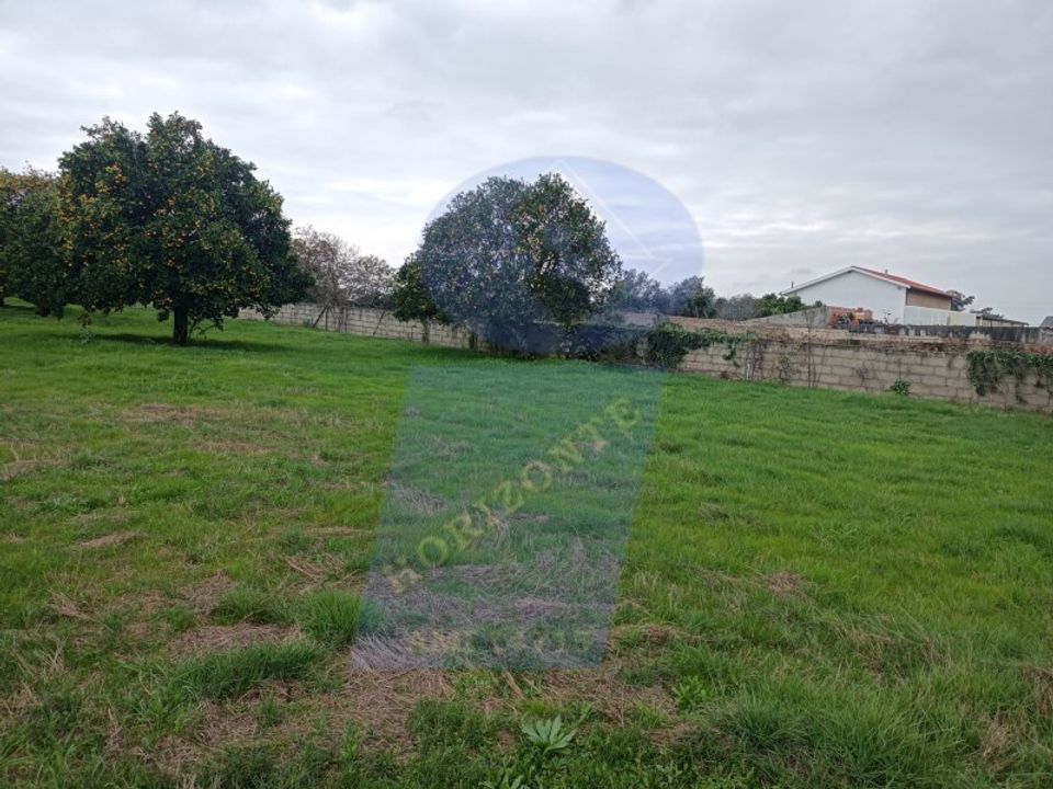 Helårsgrund i Anadia, Aveiro - foto 4