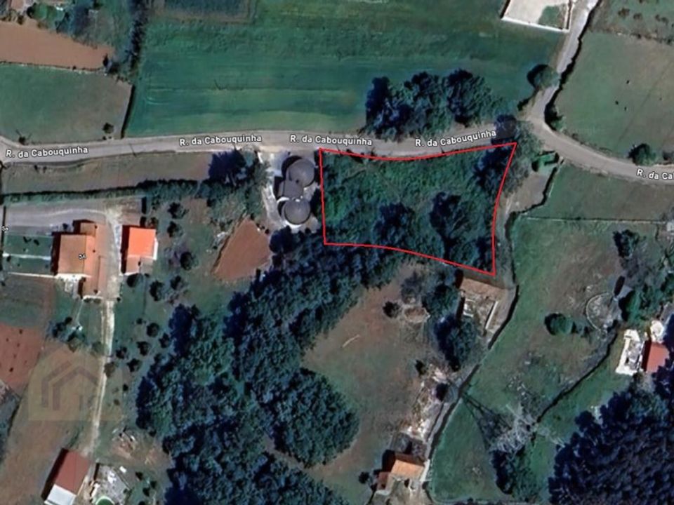 Helårsgrund i Aljubarrota, Leiria - foto 1