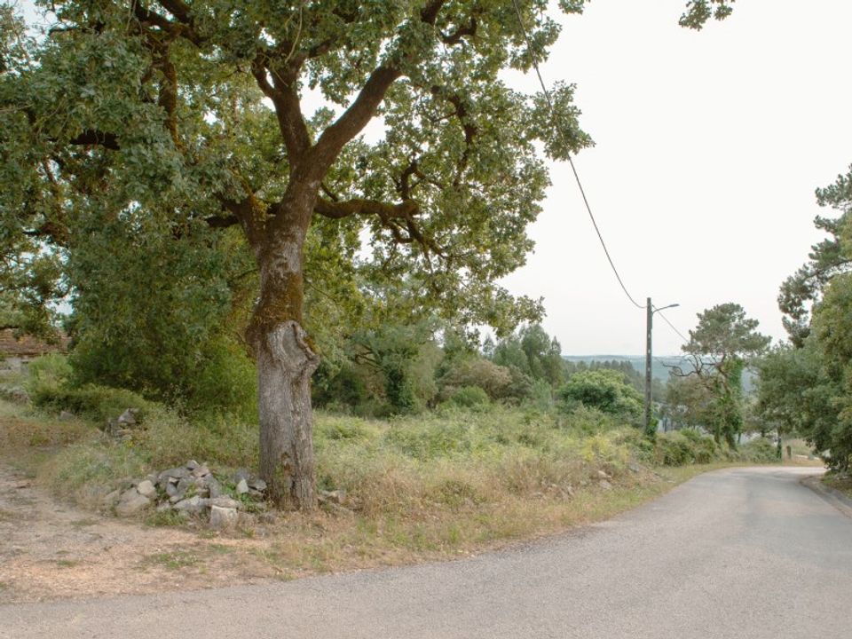 Helårsgrund i Aljubarrota, Leiria - foto 2