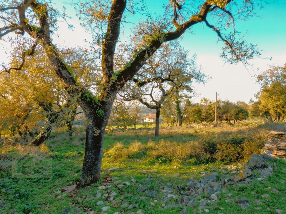 Helårsgrund i Aljubarrota, Leiria - foto 3
