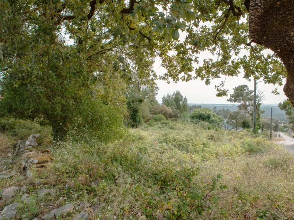 Helårsgrund i Aljubarrota, Leiria - foto 5