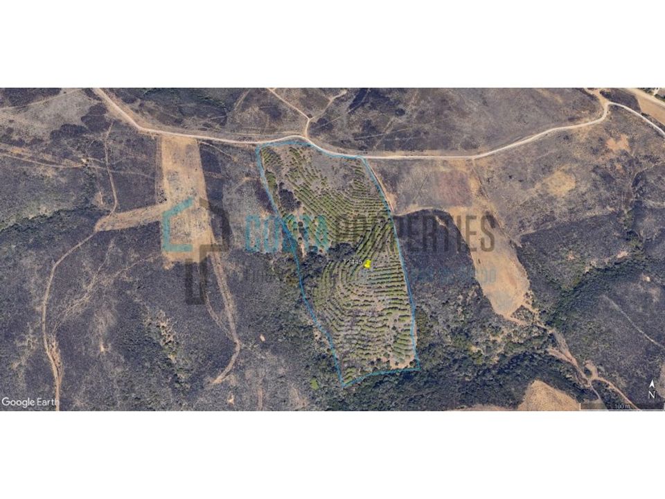 Helårsgrund i Sagres, Faro - foto 3