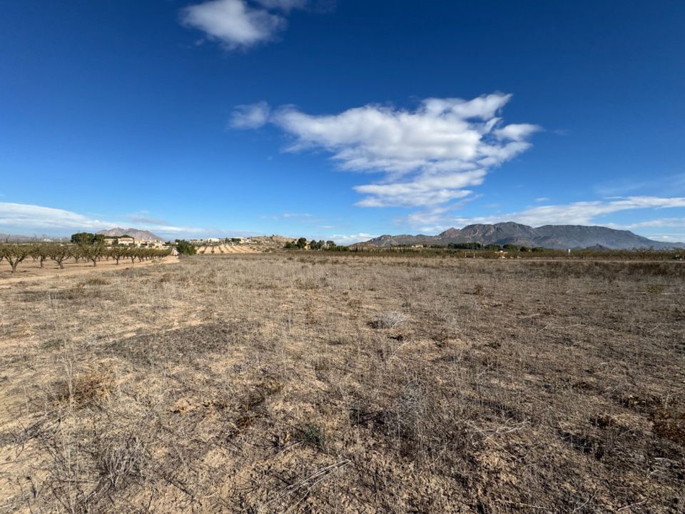 Helårsgrund i Ricote, Murcia - foto 1