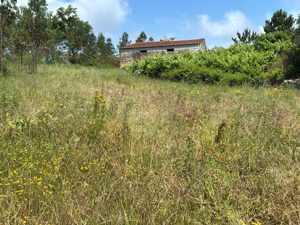 Helårsgrund i Casegas e Ourondo, Castelo Branco - foto 4