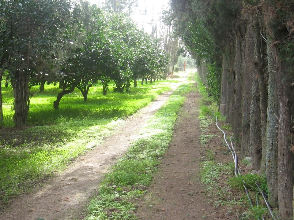 Erhvervsejendom i Monastir, Sud Sardegna - foto 1