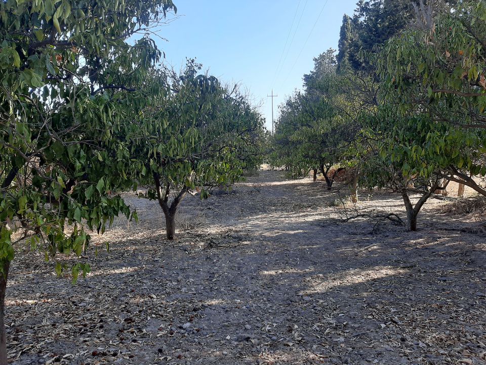 Erhvervsejendom i Monastir, Sud Sardegna - foto 2
