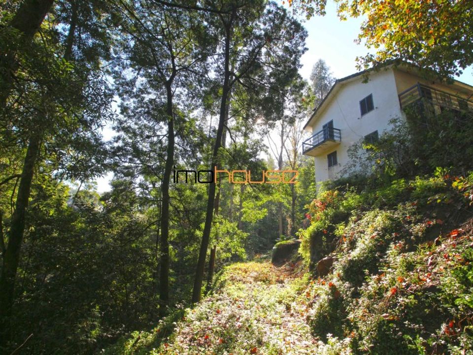 Farm i Castelo de Paiva, Aveiro - foto 3