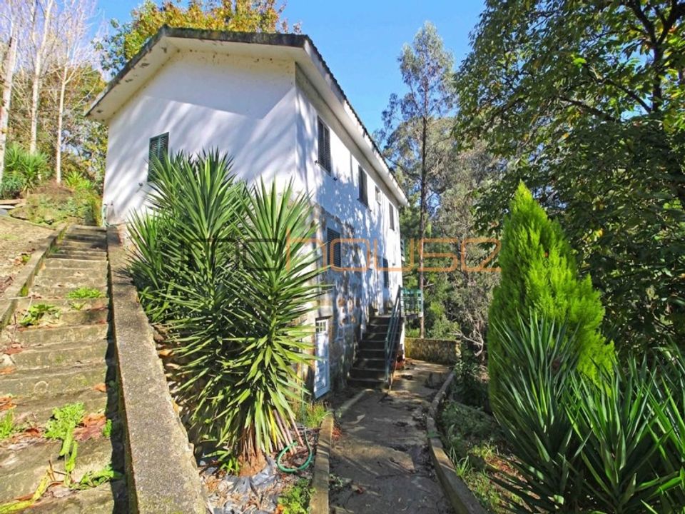 Quinta em Castelo de Paiva, Aveiro - foto 1