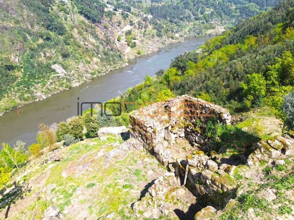 Farm i Tarouquela, Viseu - foto 4