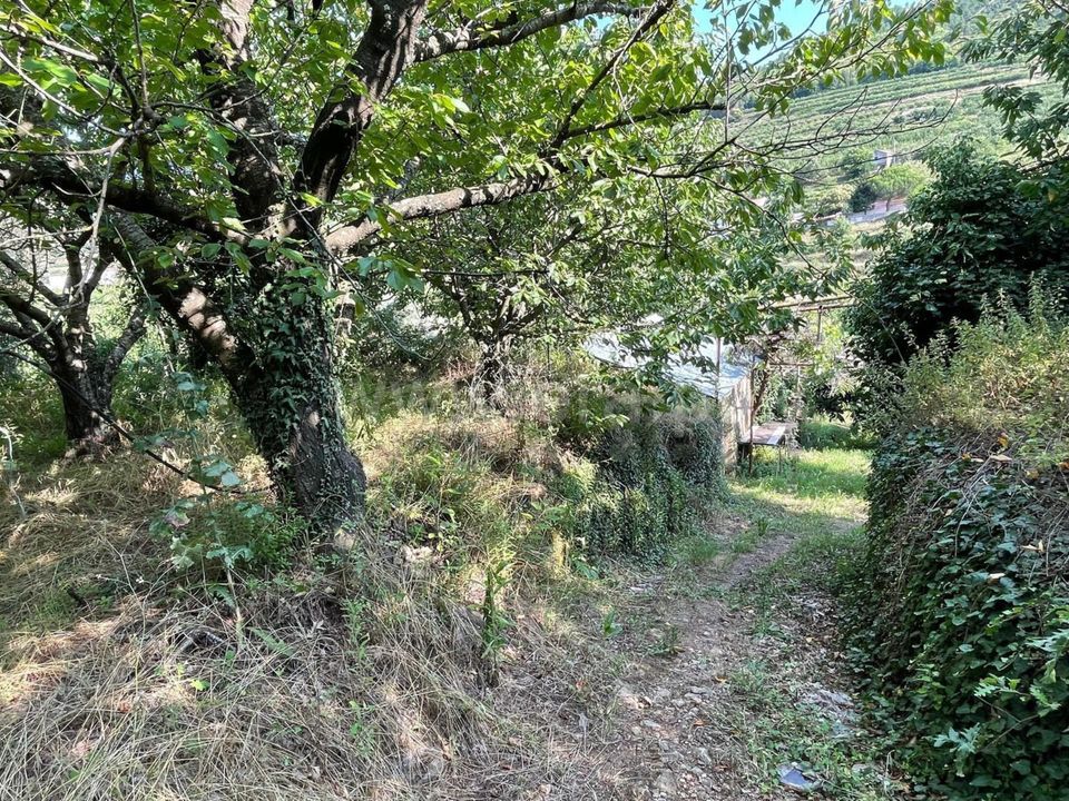 Landejendom i Fundao, Castelo Branco - foto 2