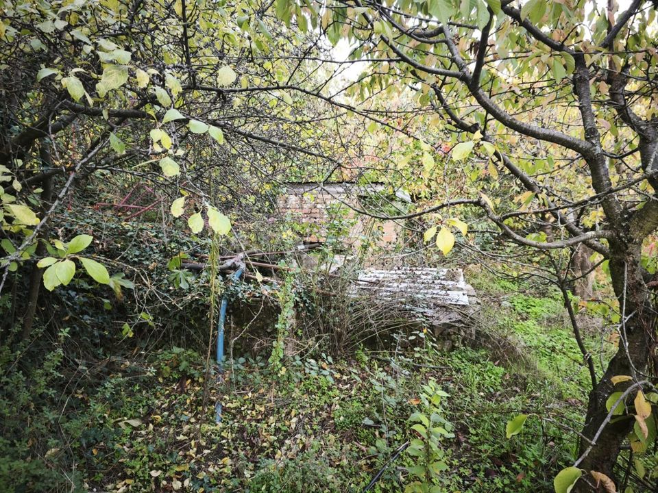Landejendom i Fundao, Castelo Branco - foto 3