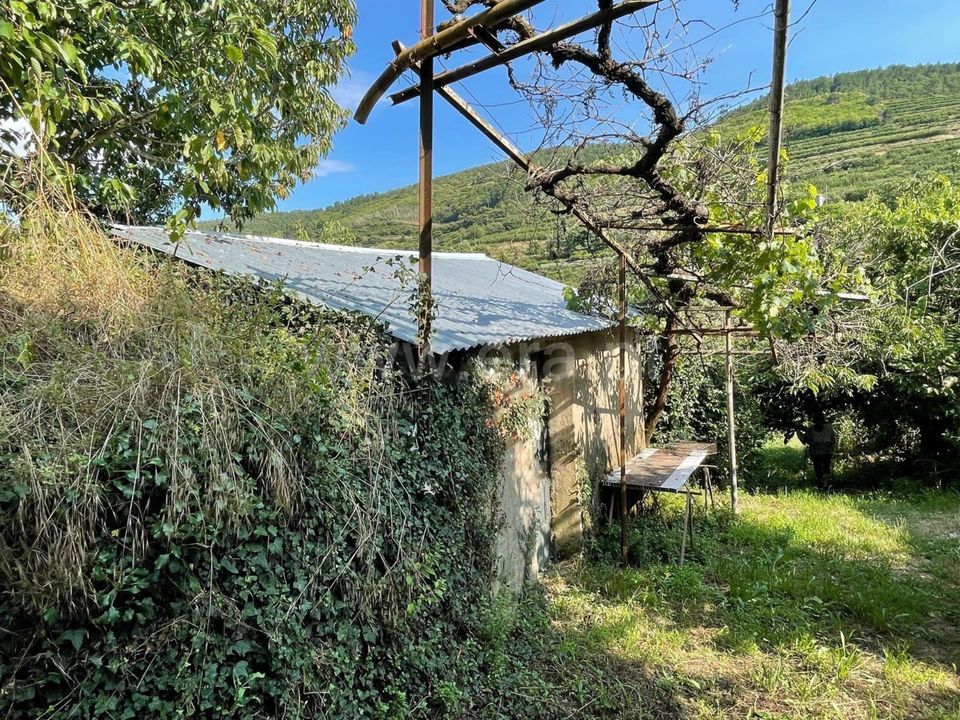 Landejendom i Fundao, Castelo Branco - foto 5