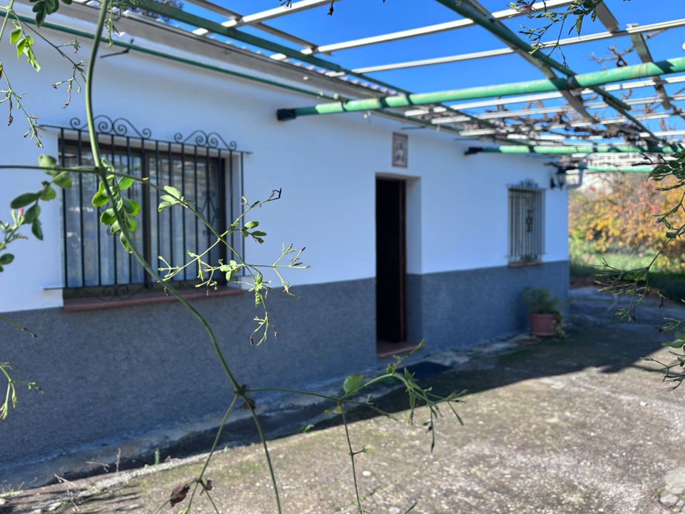 Landejendom i Casarabonela, Malaga - foto 3