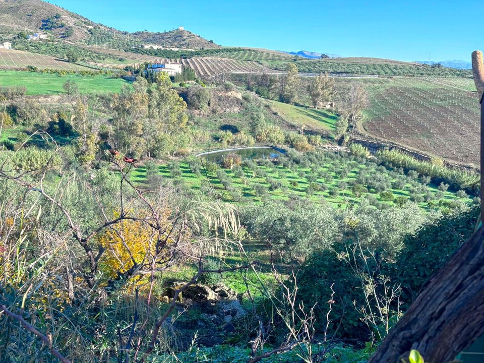 Landejendom i Casarabonela, Malaga - foto 2