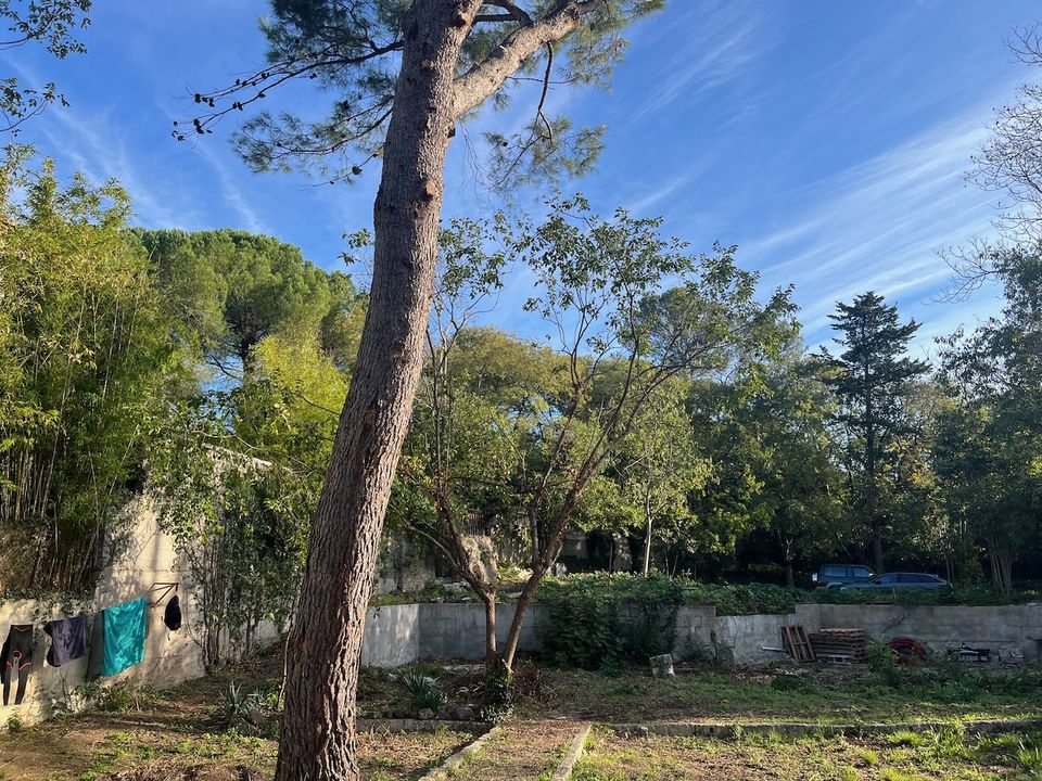 Terra a Montpellier, Herault - foto 2