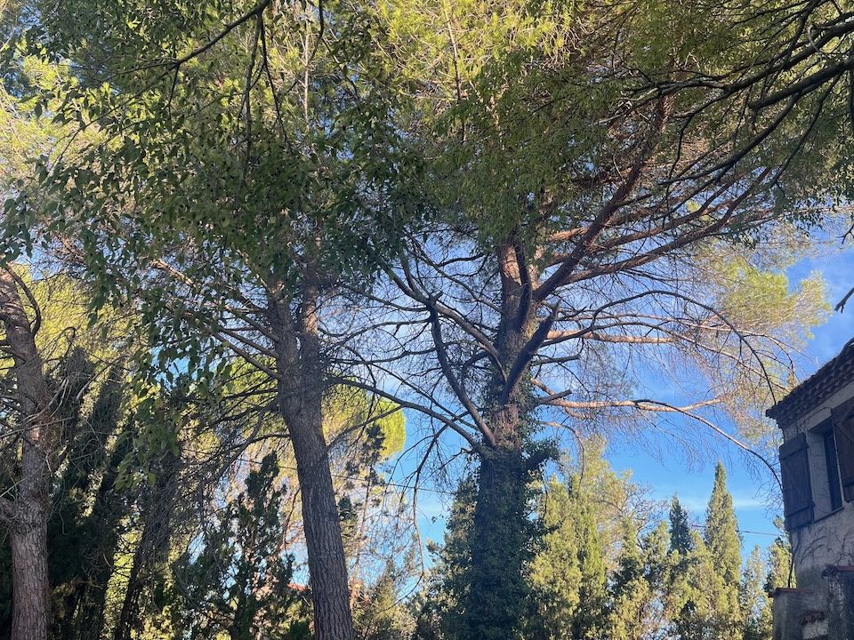 Terra a Montpellier, Herault - foto 4