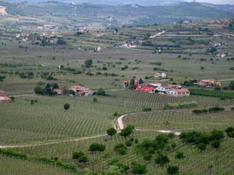 Helårsgrund i Soave, Verona - foto 1