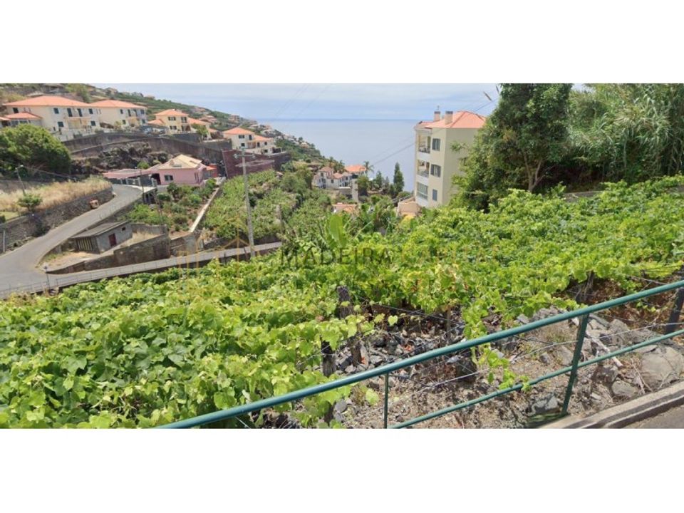 Helårsgrund i Calheta, Madeira - foto 1