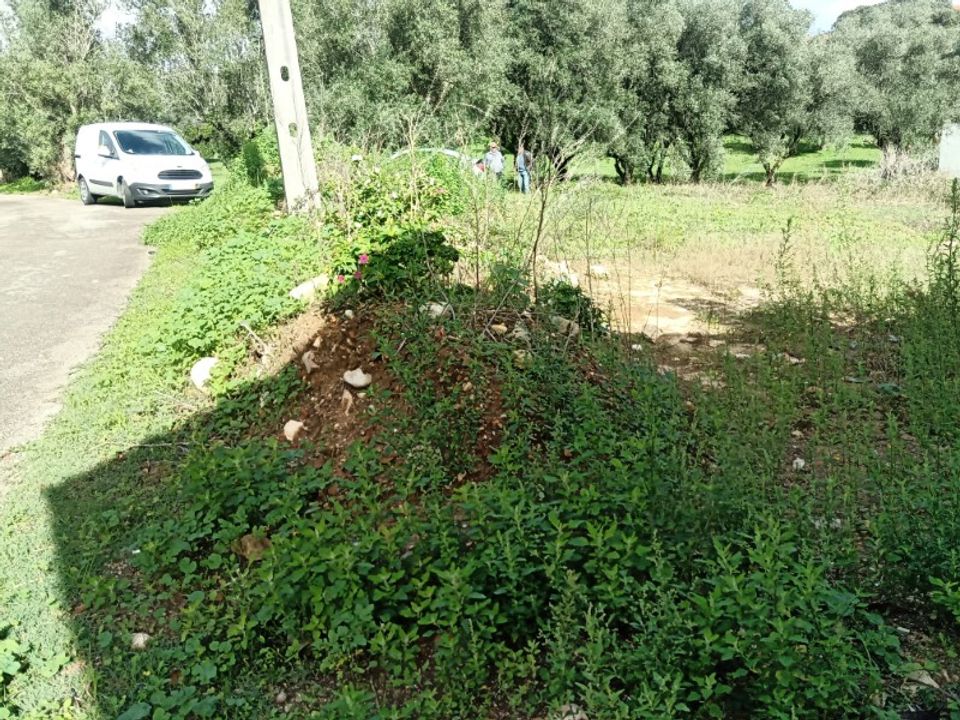 Helårsgrund i Leiria, Leiria - foto 3