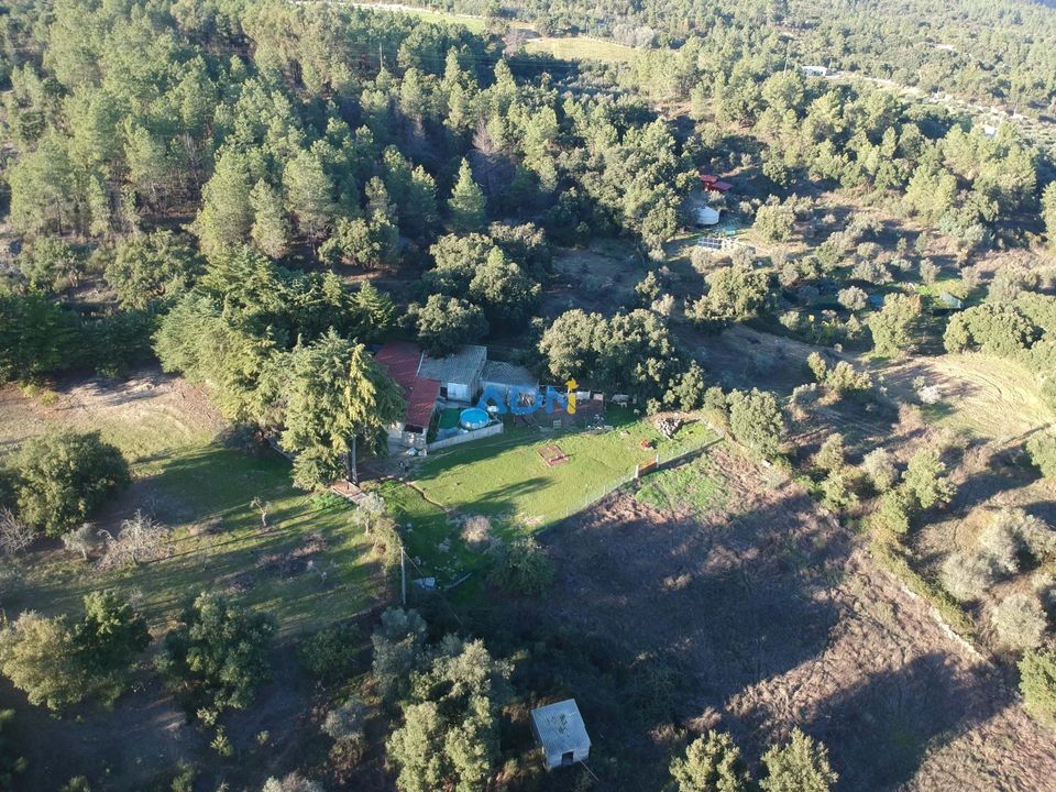 Willa: Castelo Branco, Castelo Branco – zdjęcie 1