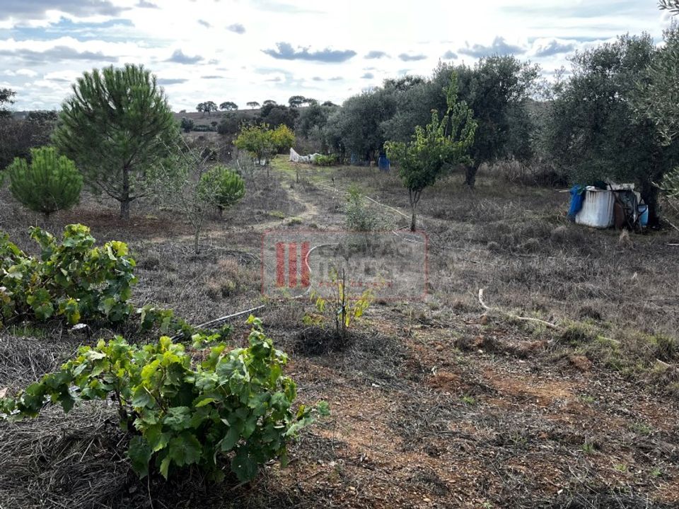 Villa a Almodovar, Beja - foto 2