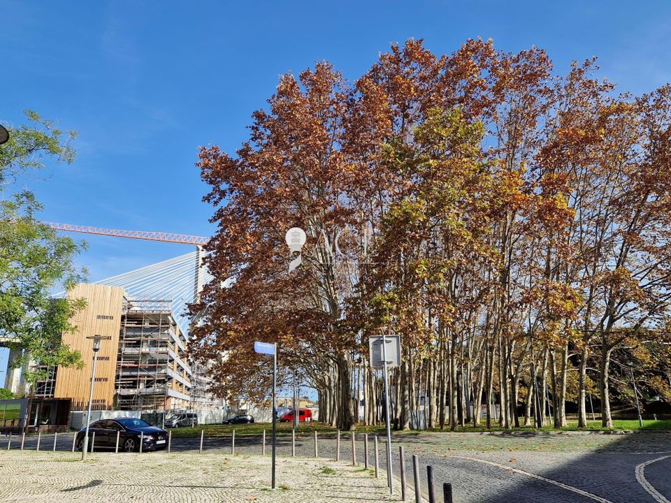 Erhvervsejendom i Moscavide-Parque das Nacoes, Lisbon - foto 3