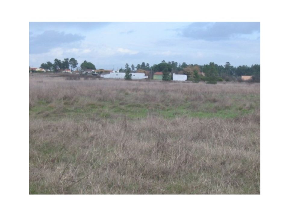 Farm i Palmela, Setubal - foto 3