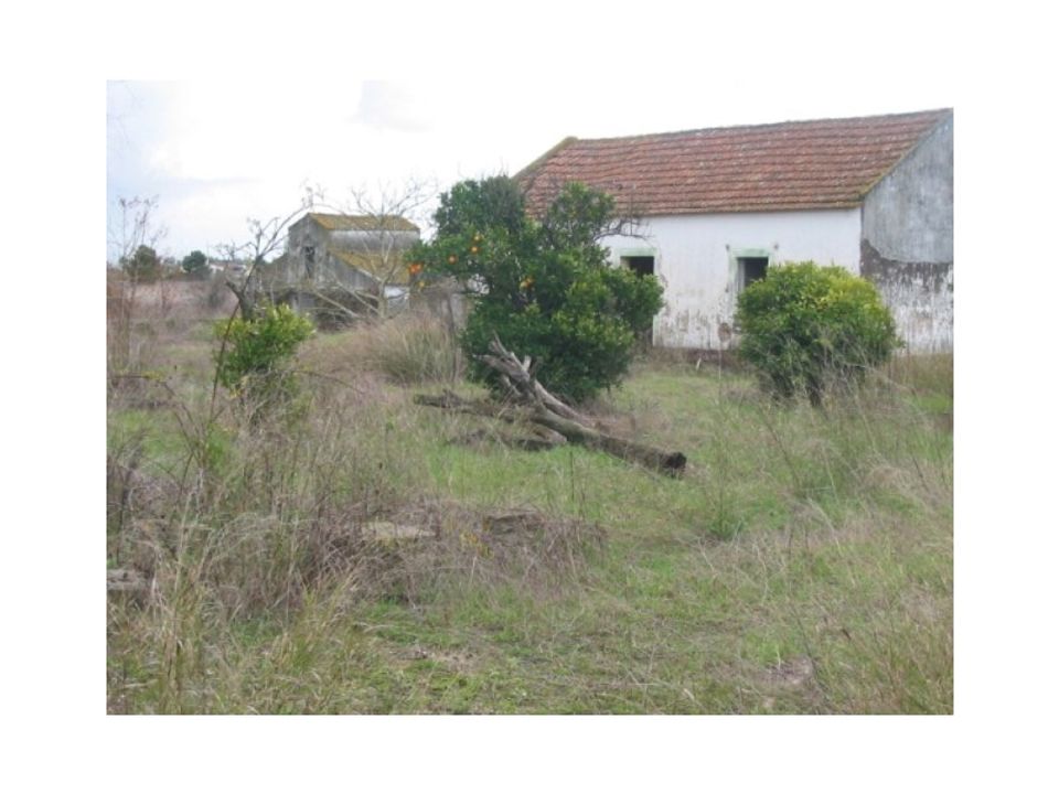 Farm i Palmela, Setubal - foto 4