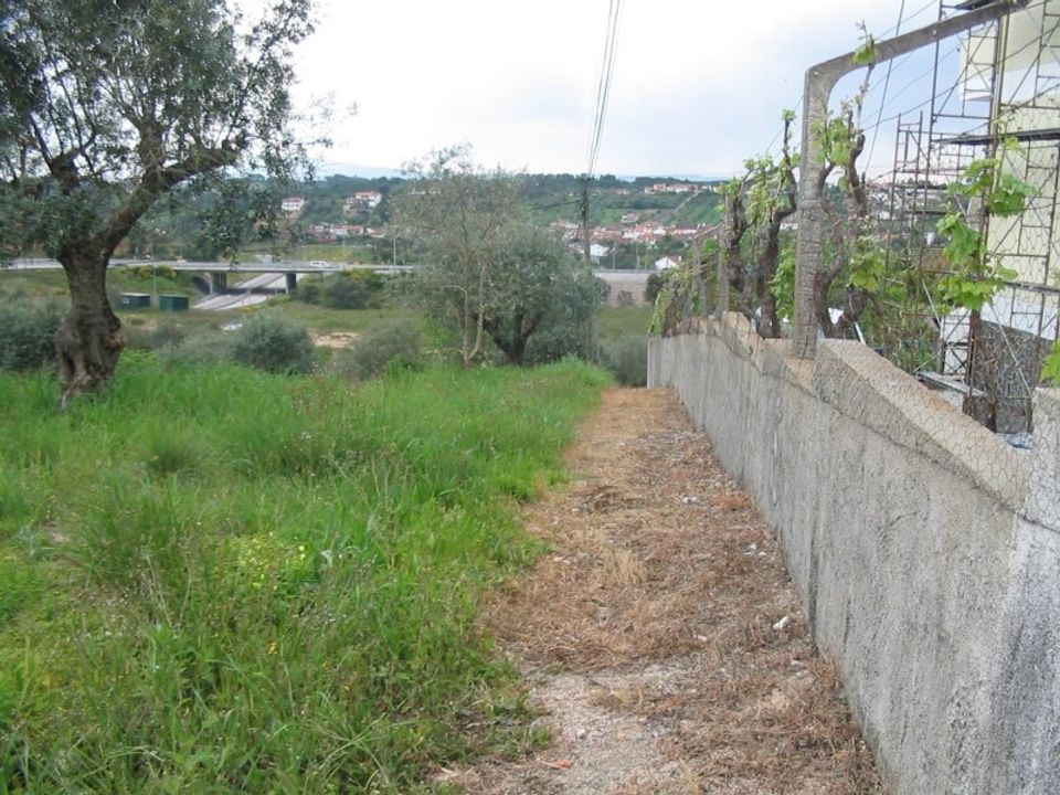 Helårsgrund i Tomar, Santarem - foto 1