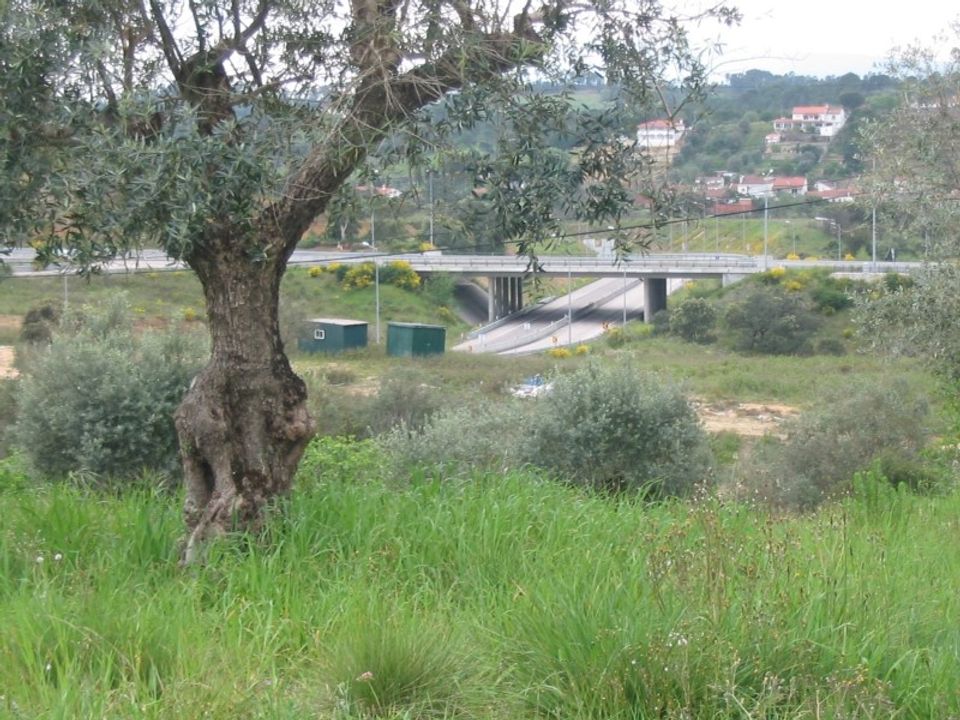 Helårsgrund i Tomar, Santarem - foto 2