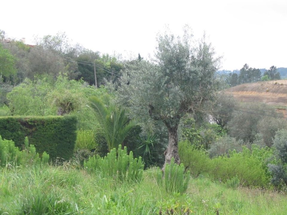 Helårsgrund i Tomar, Santarem - foto 3
