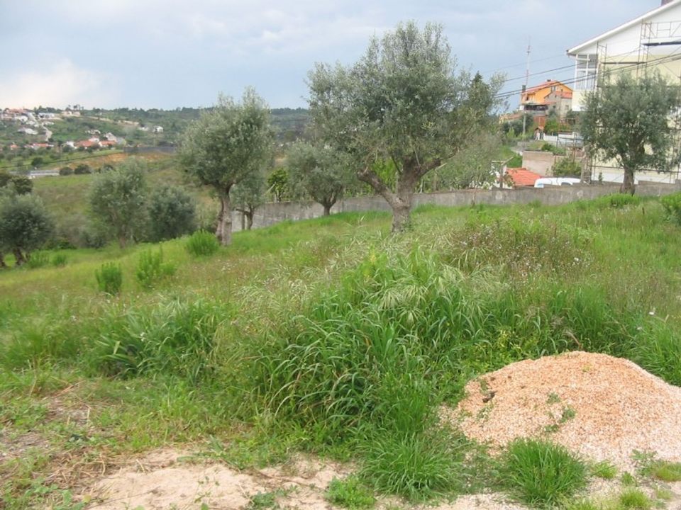 Helårsgrund i Tomar, Santarem - foto 4