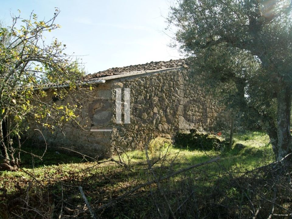 Helårsgrund i Idanha-a-Nova, Castelo Branco - foto 4