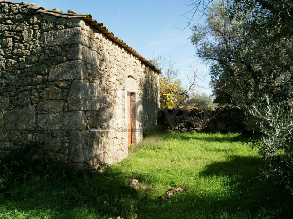 Helårsgrund i Idanha-a-Nova, Castelo Branco - foto 1