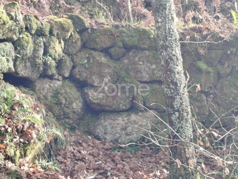 Helårsgrund i Faíl e Vila Chã de Sá, Viseu - foto 1