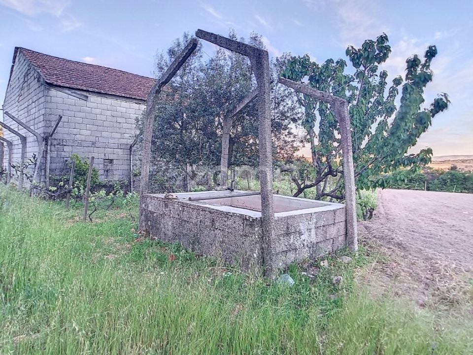 Helårsgrund i Penalva do Castelo, Viseu - foto 1