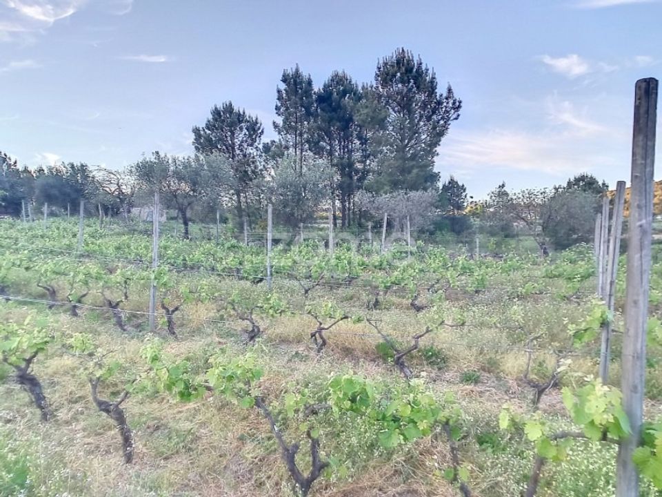Helårsgrund i Penalva do Castelo, Viseu - foto 2