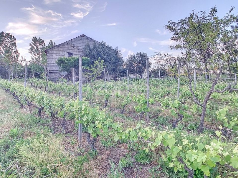Helårsgrund i Penalva do Castelo, Viseu - foto 5