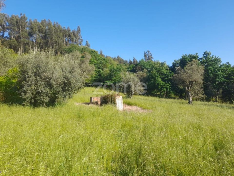 Helårsgrund i Alvaiazere, Leiria - foto 1