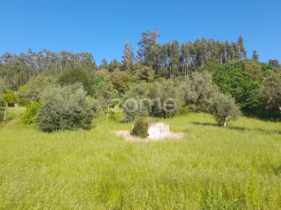 Helårsgrund i Alvaiazere, Leiria - foto 2