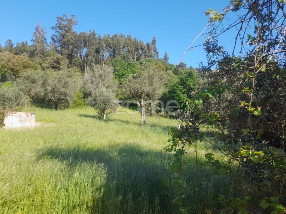 Helårsgrund i Alvaiazere, Leiria - foto 3