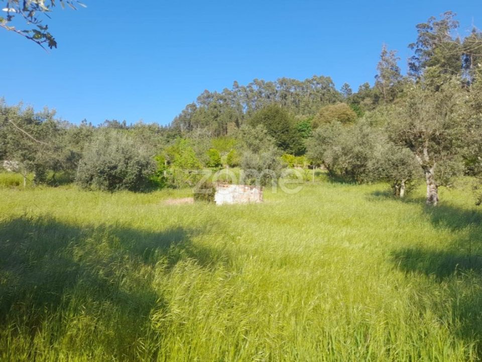 Helårsgrund i Alvaiazere, Leiria - foto 4