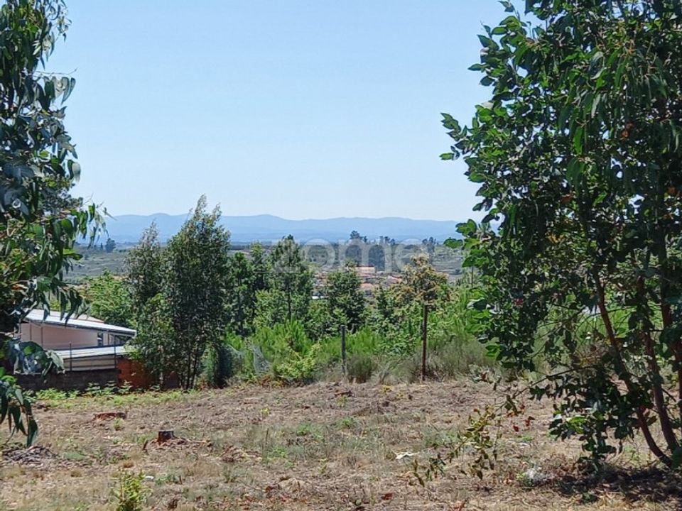 Helårsgrund i Faíl e Vila Chã de Sá, Viseu - foto 2