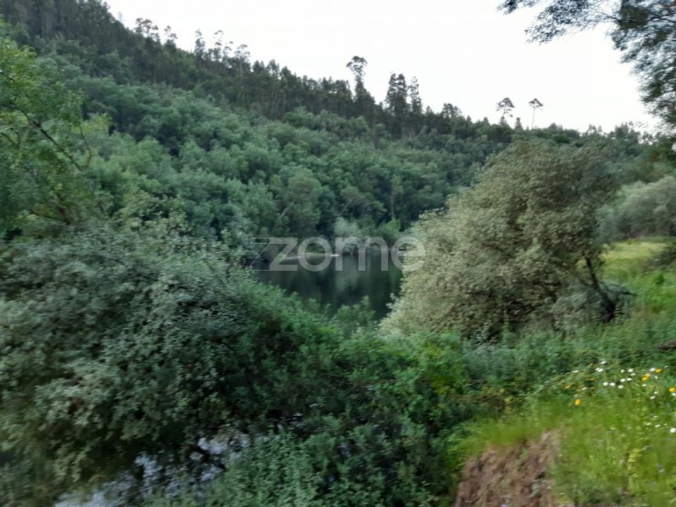Helårsgrund i Ervedal e Vila Franca da Beira, Coimbra - foto 4