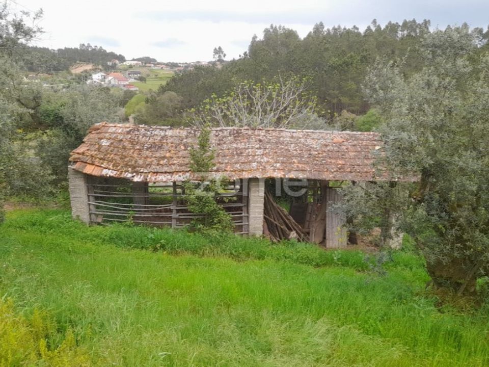 Helårsgrund i Soure, Coimbra - foto 3