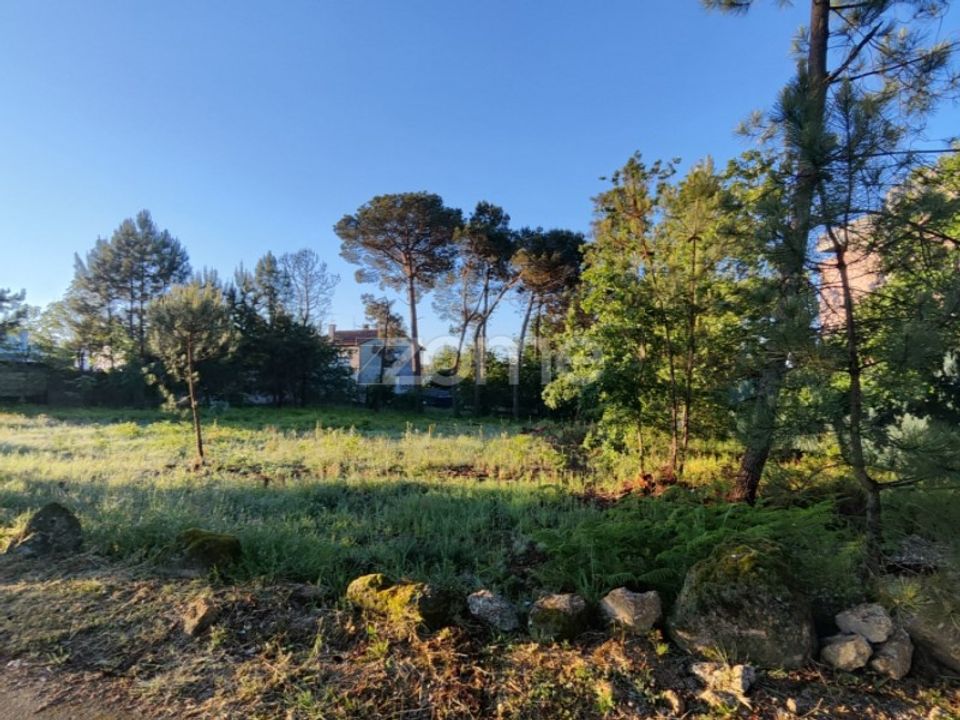 Helårsgrund i Faíl e Vila Chã de Sá, Viseu - foto 4