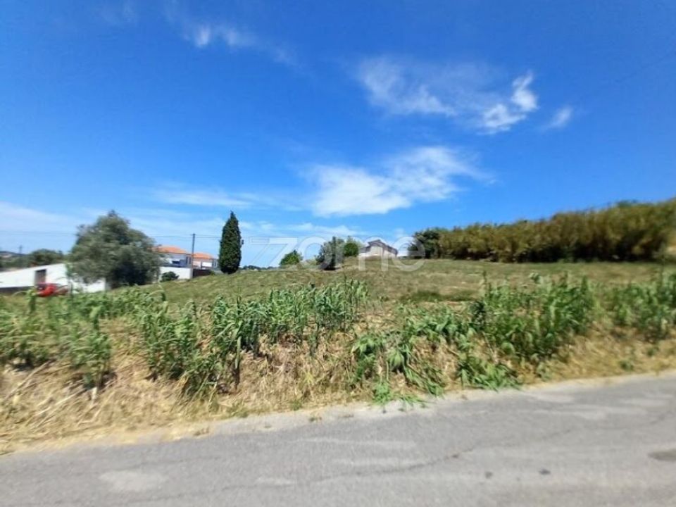 Helårsgrund i Anadia, Aveiro - foto 2