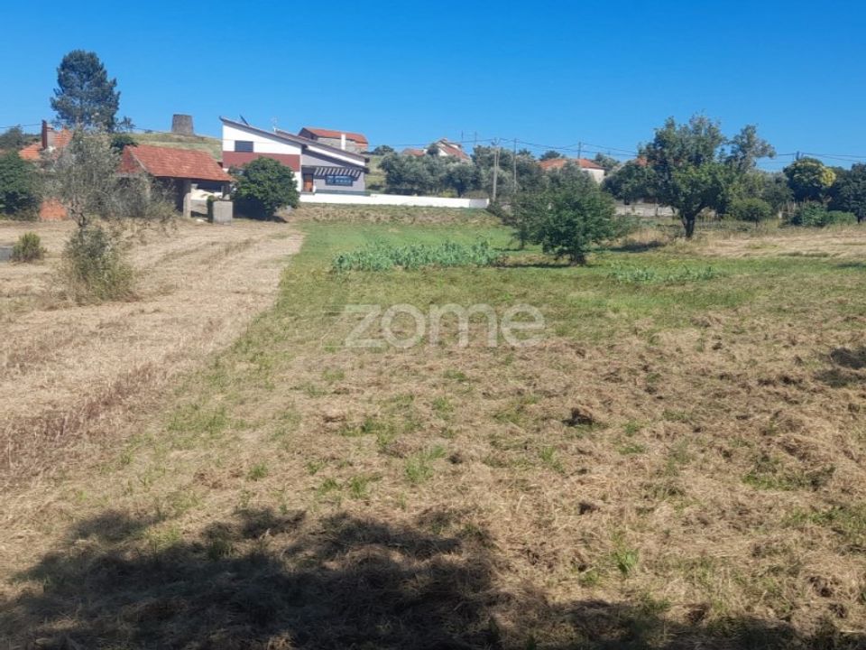 Helårsgrund i Pombal, Leiria - foto 1