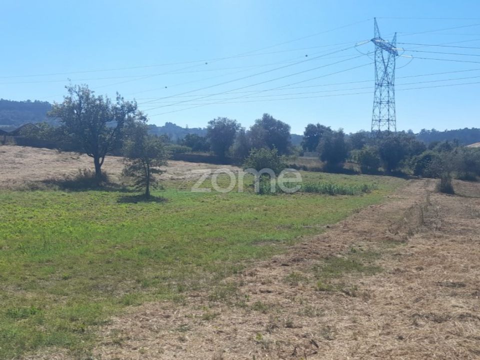 Helårsgrund i Pombal, Leiria - foto 3